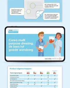 AllesOnline powerpoint Curea Binnendienst