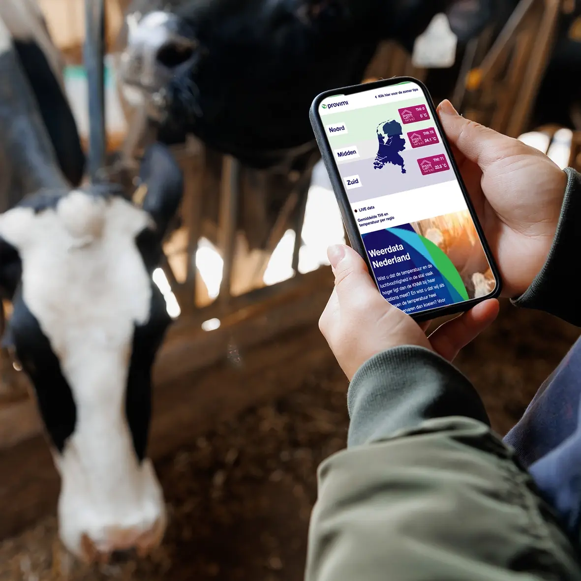 Provimi data applicatie gemaakt door AllesOnline