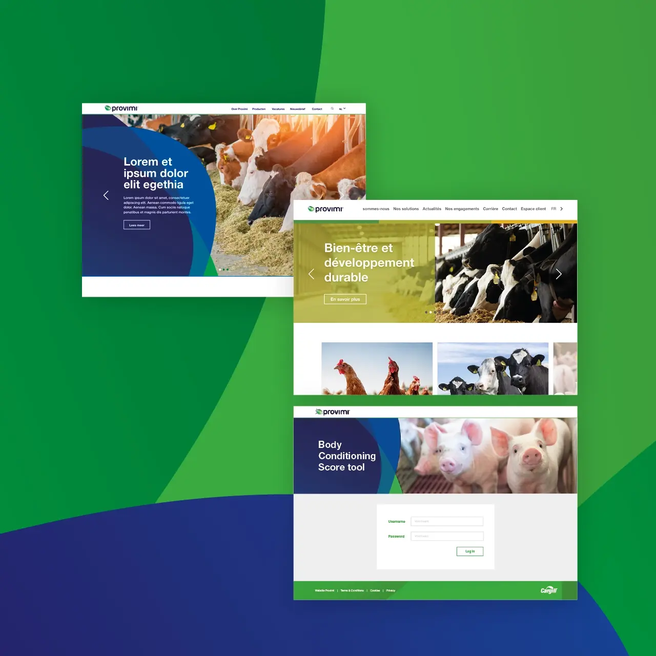 Provimi website designed and developed by AllesOnline