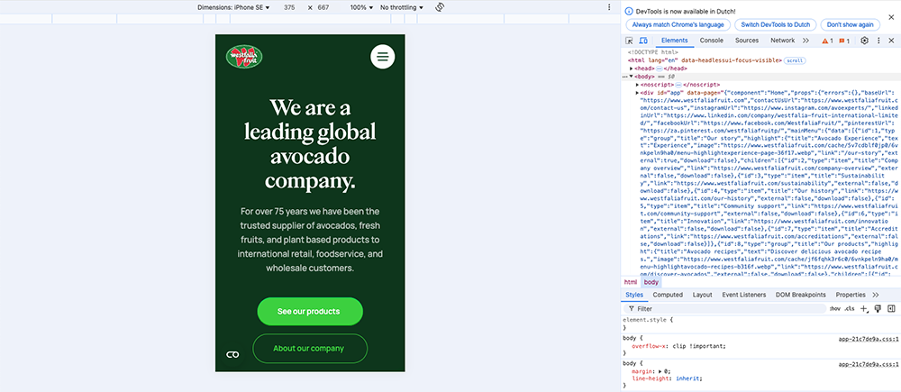 AllesOnline Voorbeeld DevTools Chrome