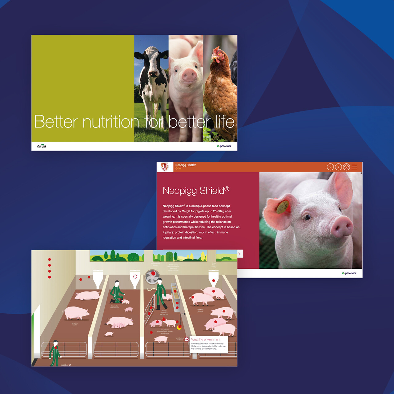 Provimi interactieve presentatie gemaakt door AllesOnline