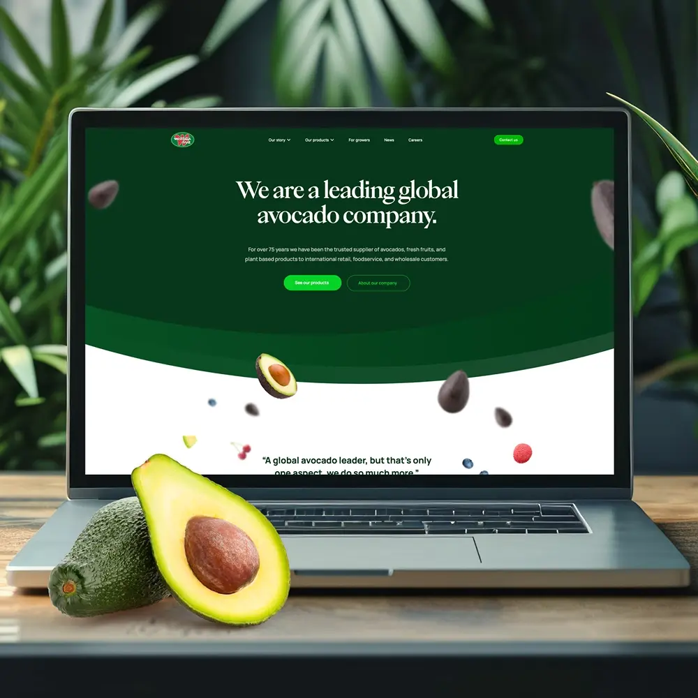 Westfalia website gebouwd door AllesOnline
